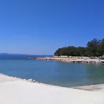 - Pedinka 294b *